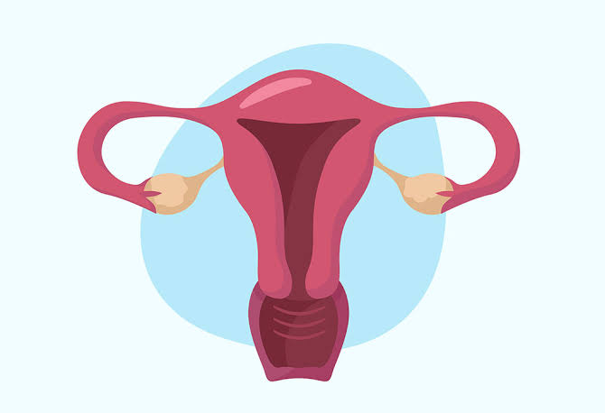 كيف يتغير الرحم بعد الحمل ؟! وهل تبقى علامات التمدد للأبد ! 
